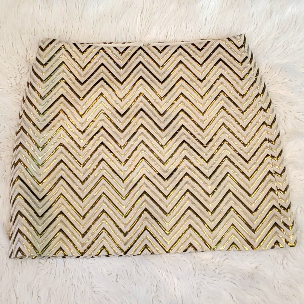 J.Crew Metallic Skirt